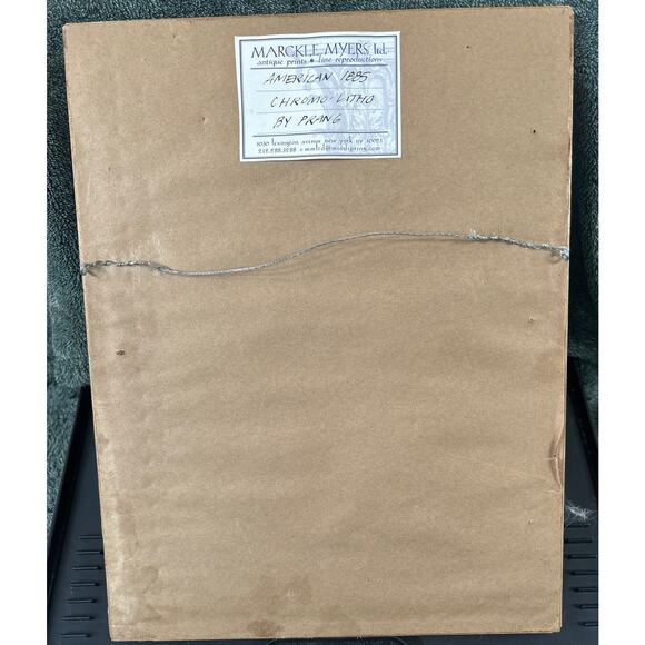 c1886 Original Cobra Antelope Chromolithograph Print - Picture 6 of 6